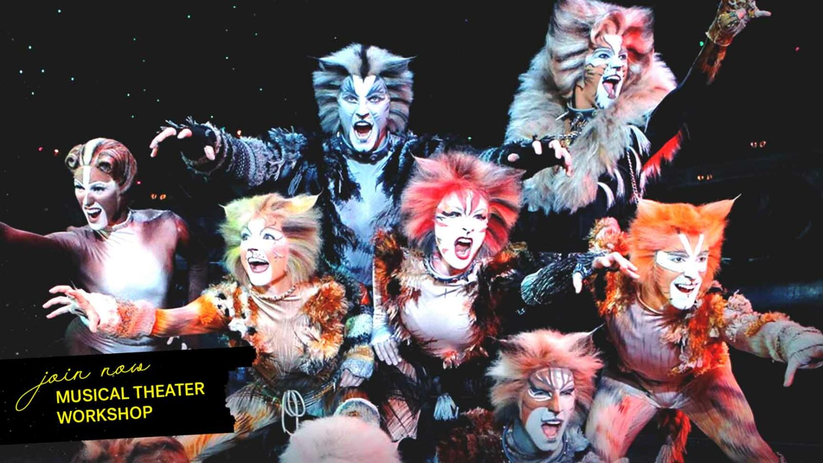 cats broadway musical