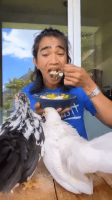 Bretman eats egg in front of his chicken