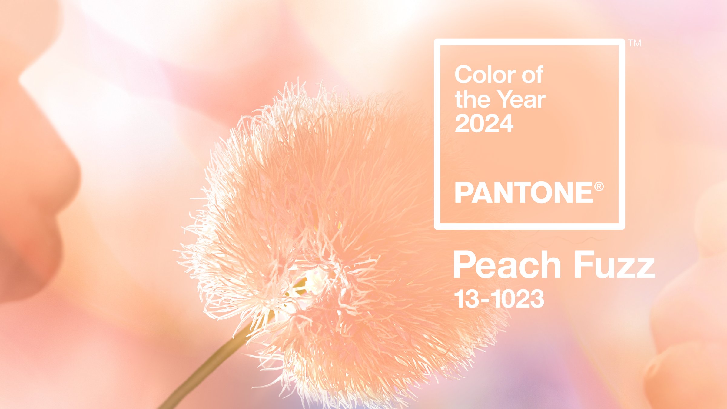 pantone peach fuzz style ootd