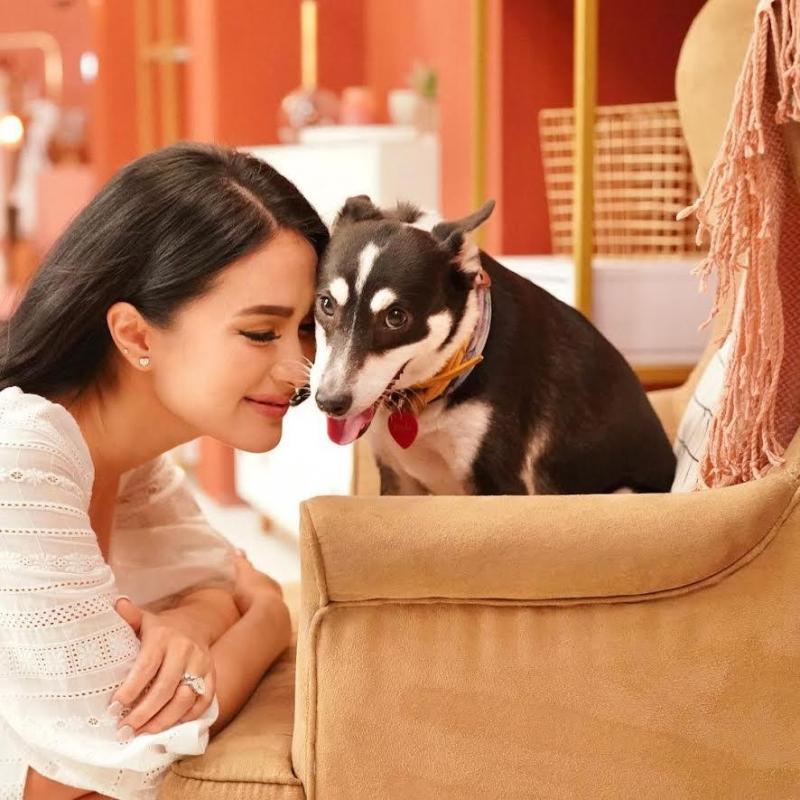 responsible pet ownership celebrity dog moms