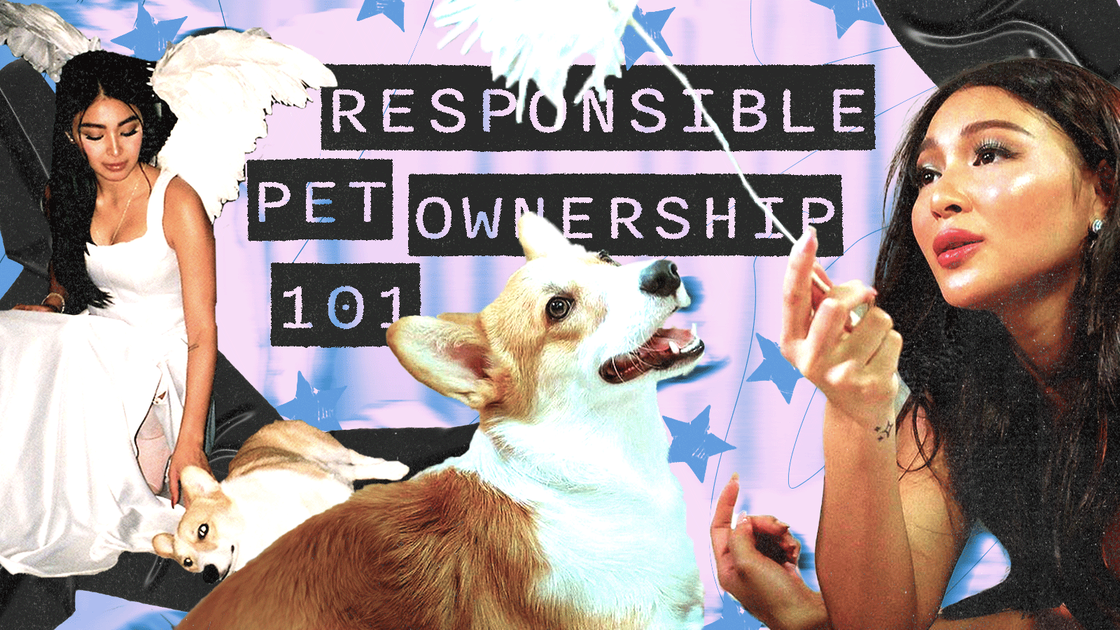 10 Ways to Become a Responsible Pet Owner