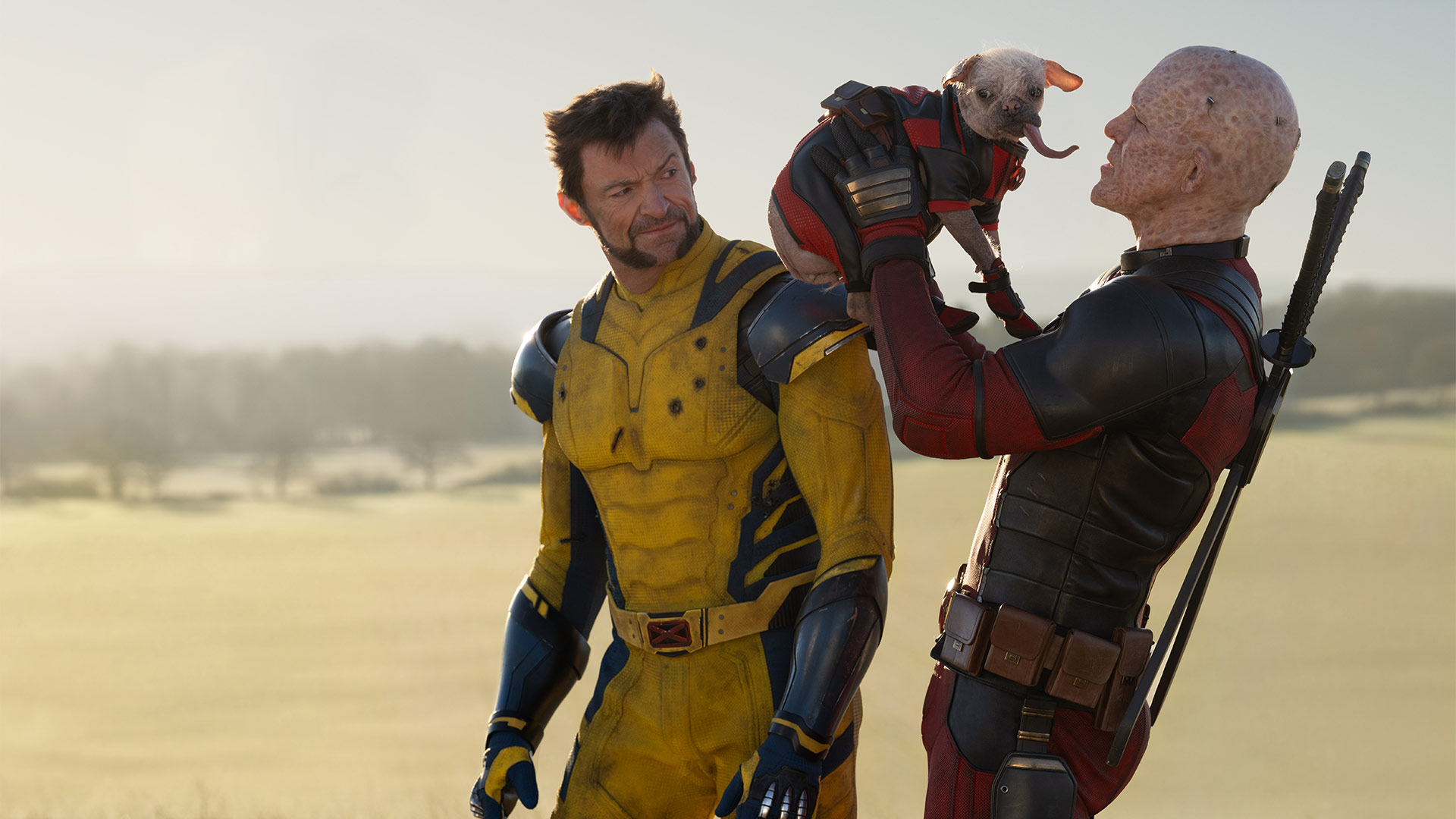 DEADPOOL & WOLVERINE