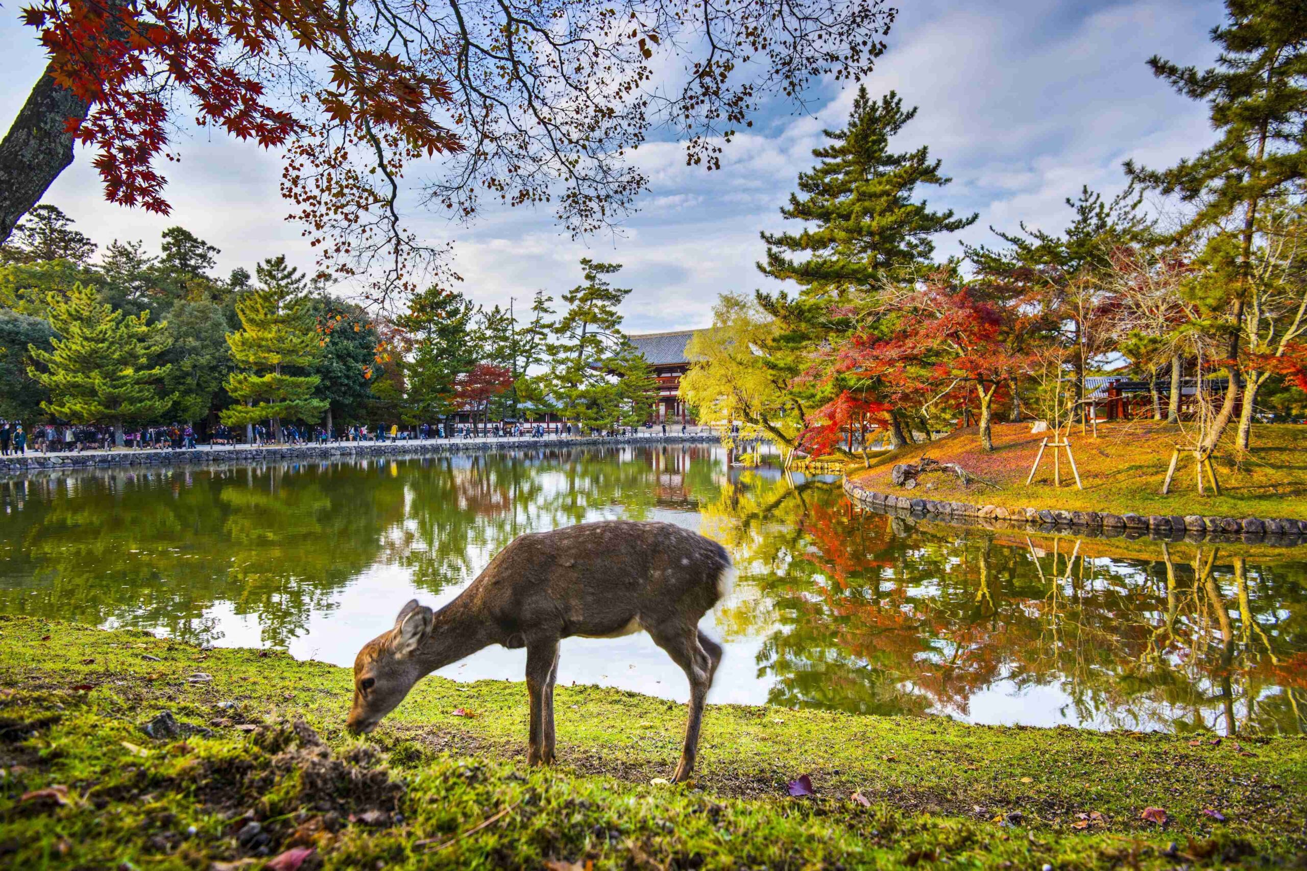 NARA JAPAN